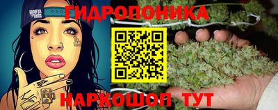 apvp Новозыбков