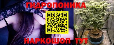МДПВ Новокубанск
