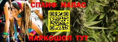 apvp Новозыбков