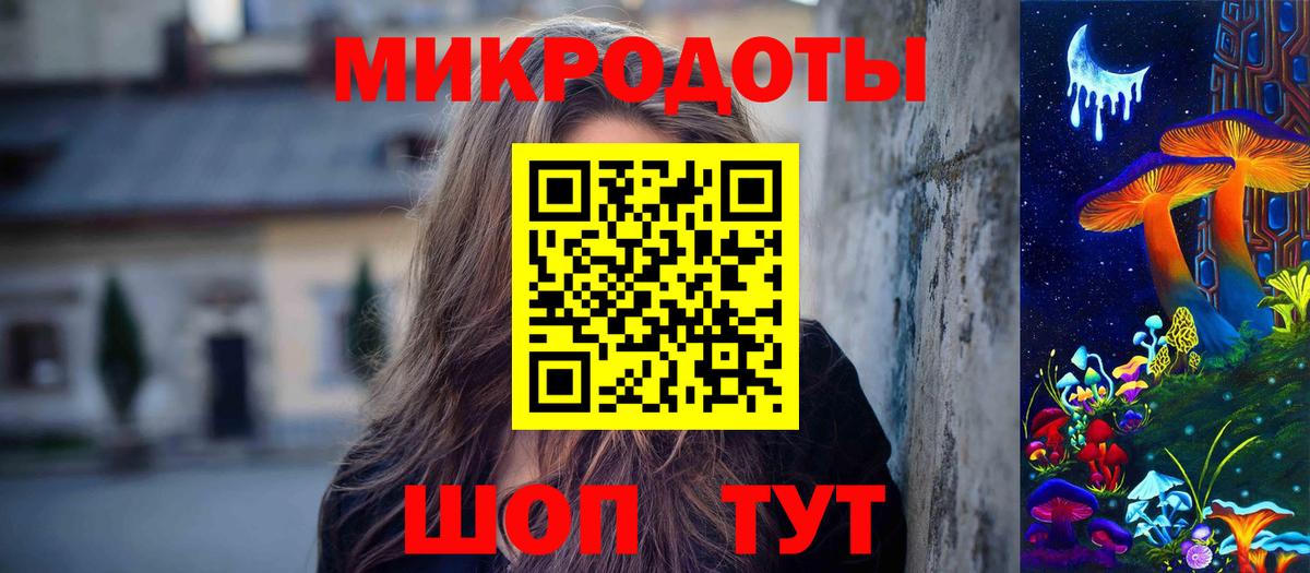 Псилоцибиновые грибы Psilocybine cubensis Томск