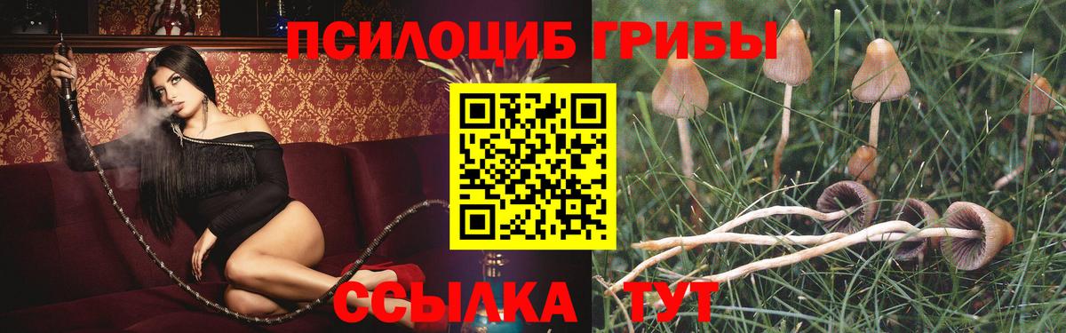 Томск  Галлюциногенные грибы Cubensis  наркошоп  Вход с VPN 